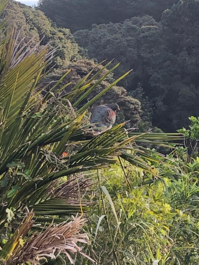 Muriwai Lodge Eksteriør billede